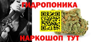 ПСИЛОЦИБИНОВЫЕ ГРИБЫ Кинель