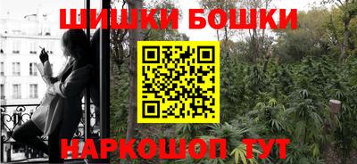 гашик Аргун