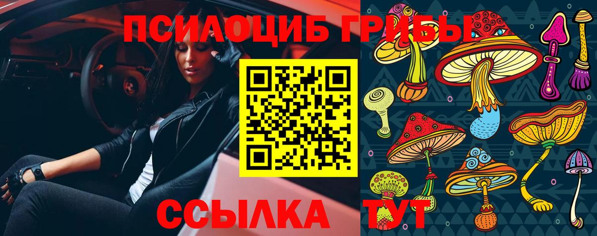 Темрюк  Псилоцибиновые грибы мицелий  Вход с VPN 